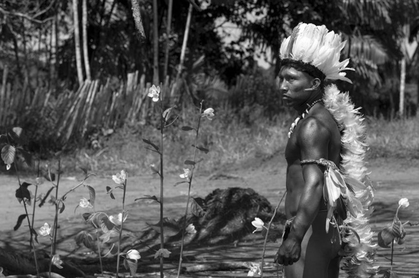 Hey Canada! Here's Where To Watch Oscar Contender EMBRACE OF THE SERPENT